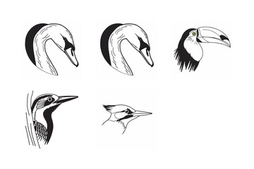 Obraz premium line art of wild bird bundle on the white background