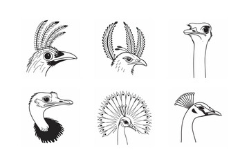 line art of wild bird bundle on the white background