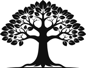 Obraz premium Bodhi Sacred Fig tree vector silhouette