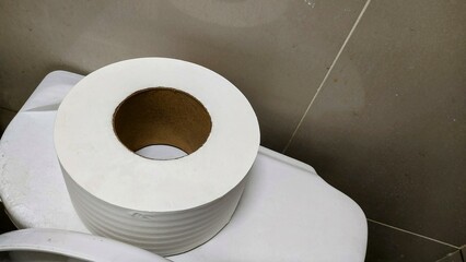 roll of toilet paper