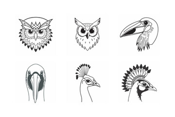 Fototapeta premium ine art of bowerbird head bundle on the white background 