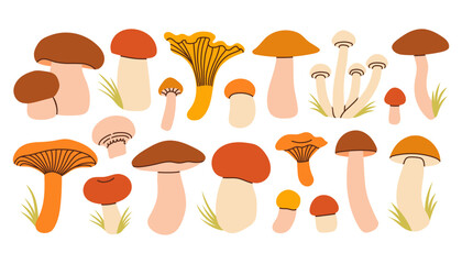 Simple colorful set of hand drawn mushrooms in orange, brown, and beige tones. Different shape and size mushrooms, giving a cozy and fun fall forest feel. Flat design for card, pattern, banner