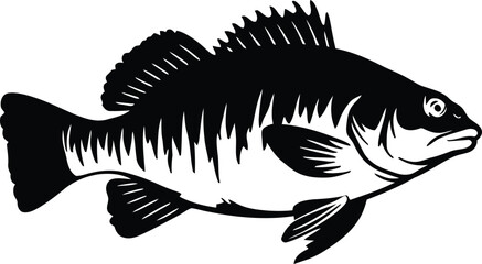 Detailed Black Silhouette of a Deep-Sea Anglerfish Vector Illustration, fish on a white background