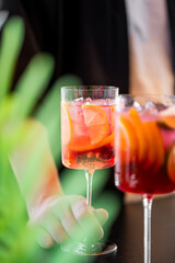 A close-up of two glasses filled with a vibrant red cocktail, garnished with slices of citrus fruits. One glass is held by a hand, with a blurred green plant in the foreground