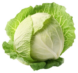 Fototapeta premium PNG Cabbage vegetable plant food.