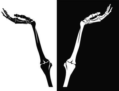 human skeleton hand holding empty space or showing suggestion gesture - limb bone structure black and white vector design set
