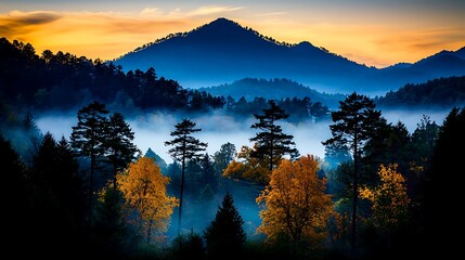 Misty mountain landscape at sunrise autumn trees and fog in valley Nature