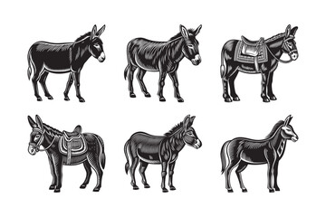 silhouette of animal wild donkey bundle on the whitebackground 