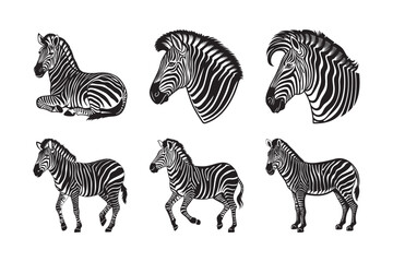 Obraz premium silhouette of animal wild zebra bundle on the whitebackground