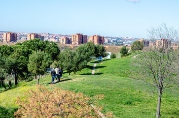 Relaxing city park scene with a walking path, lush green grass, trees, and distant residential buildings. Ideal for concepts of urban nature and outdoor recreation.