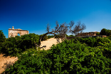 2024 03 20 Essaouira ruins 57