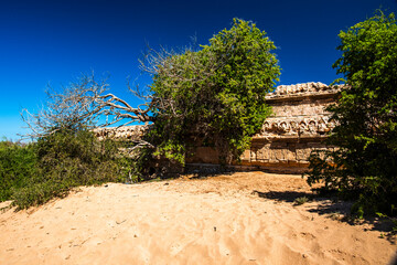 2024 03 20 Essaouira ruins 64.jpg