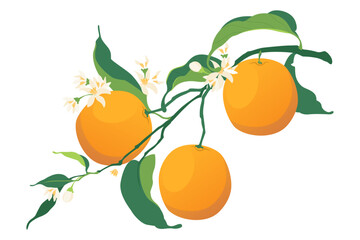 Orange fruit vector design. orange fruit icon, logo illustration.