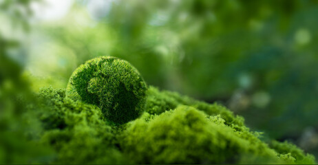 Green globe on moss in green forest - Environmental concept, Ecology and sustainable environment of...