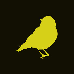 yellow chicken on black background