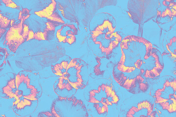 Delicate pansy flowers in a pastel blue, pink, and yellow digital overlay, creating a dreamy...