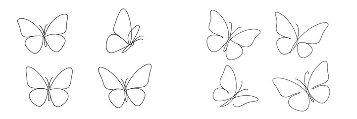 Simple line drawings of butterflies arranged in various positions on a white background, showcasing their delicate shapes and forms © Alan