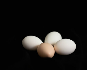 Minimalist Circular Egg Still Life on Textured Black Fabric - Three White & One Speckled Egg Composition