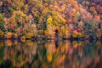 Autumn Forest over Water