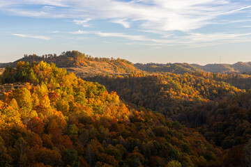 Forest Mountains in Autumn