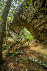 Rock Arch in Forest