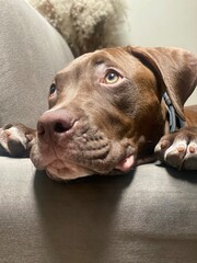 mirada tierna