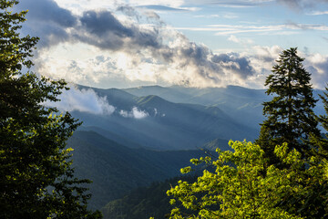 Mountains Cover with Forest