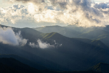 Mountains Cover with Forest