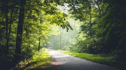 Tranquil forest path winding through lush woodland with smooth asphalt, dappled sunlight filtering through dense green canopy, vibrant foliage, and serene atmosphere.