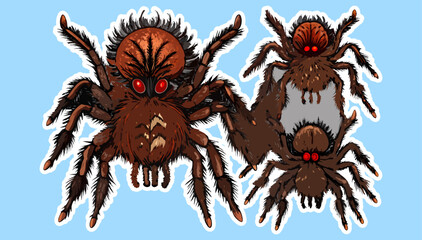 A set of collection spider with red glowing eye vector illustration isolated on white background