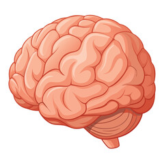 Highly detailed realistic rendering of a human figure