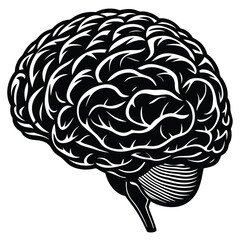 Highly detailed realistic rendering of a human figure