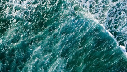 Morning Footsteps Along Serene Sandy Shoreline