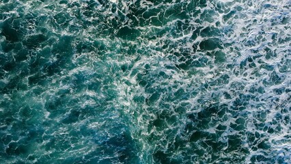 Morning Footsteps Along Serene Sandy Shoreline