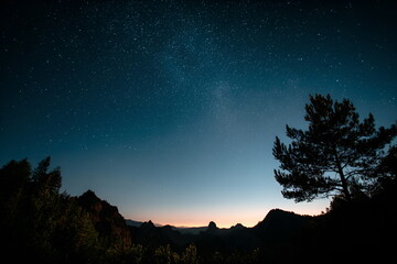 Fototapeta premium Starry night sky over mountains and silhouette of trees 