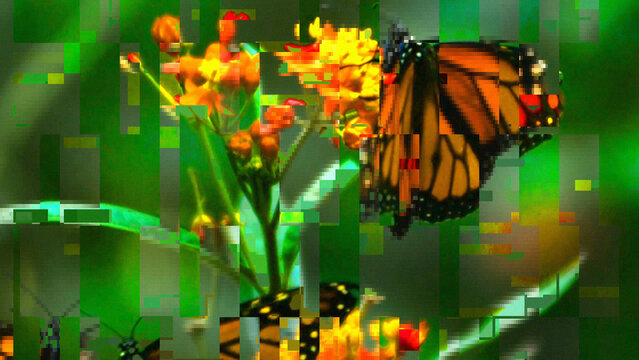 Signal Error Horizontal Motion Effect MOGRT 570