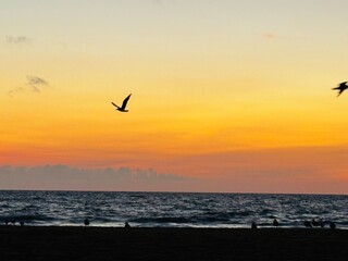 Two birds flying over crashing waves at sunset with warm glowing sky