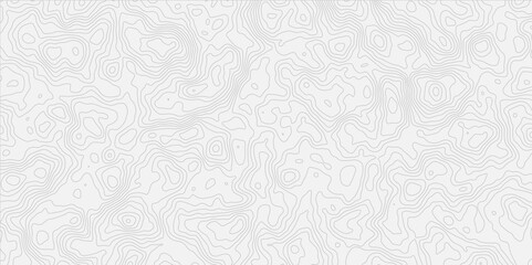 contour wavey out line style topo map seamless concept topographic decorative georaphic line surface white light topographic design. 