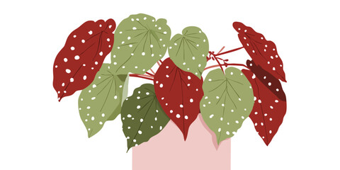 A striking artistic depiction of a begonia plant, with its distinctive spotted leaves and vibrant colors, evokes a sense of natural elegance and botanical beauty.