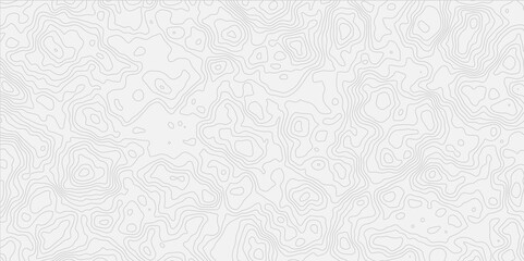 contour wavey out line style topo map seamless concept topographic decorative georaphic line surface white light topographic design. 