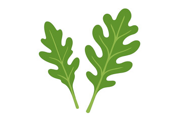 Fresh arugula leaves displayed against a plain background symbolizing healthy eating and cooking versatility