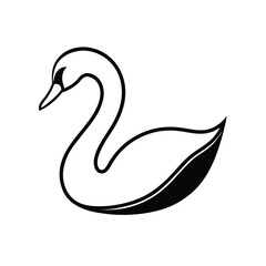 black swan vector