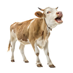 Brown and white cow yelling isolated on transparent background