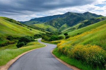 Winding road bisects rolling hills under a dramatic cloudy sky leading to a distant mountain range