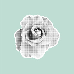 Stylized halftone rose in black and white on pastel background. Vintage retro design. Trendy vector illustration.