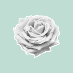Stylized halftone rose in black and white on pastel background. Vintage retro design. Trendy vector illustration.