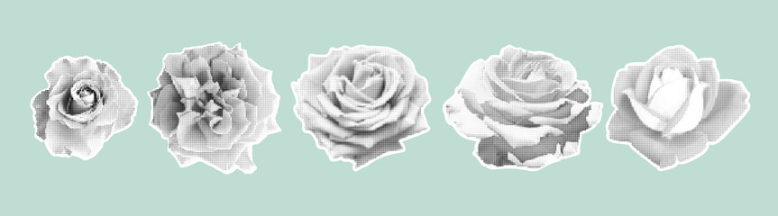Set of stylized halftone roses in black and white on pastel background. Vintage retro design. Trendy vector illustration.