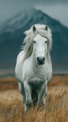 Majestic white horse gallops through golden grasslands under a cloudy sky in a remote mountainous region