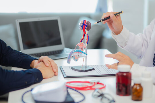 Female doctor gives advice and explanation to testicular cancer patient and in examination room using male genital anatomy model and blood pressure measurement. Healthcare and medical concept.