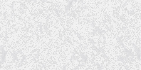modern white and grey wavey curve line contour map design featuring  topography minimalist white background.